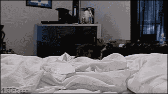 1344466680722732_animate