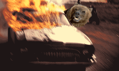 медведь-машина-последний-рейс-медведя-гифки-312738