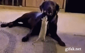 _