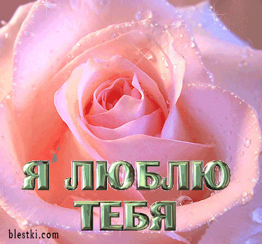 Я люблю тебя
