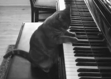котэ