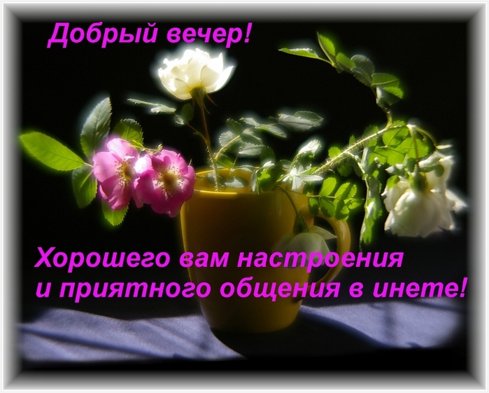 http://s01.yapfiles.ru/files/458151/24001031_dobruyy_vecher.jpg