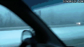 funny-gifs-the-median-is-the-safest-place-to-drive[1]
