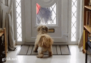 Mailman_Assistant