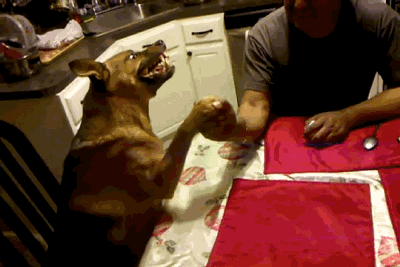 Fungif_08