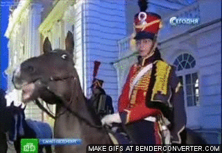 horse_
