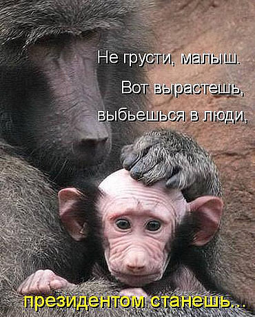 mr. president