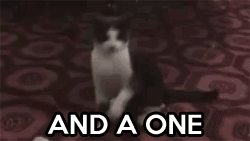 tumblr_m5hk7lyzbX1rujkwao1_250