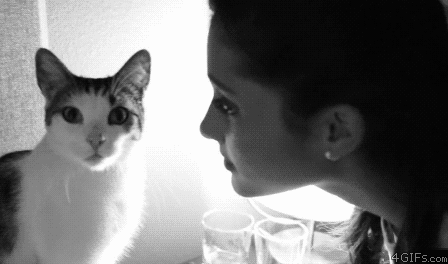 котейко
