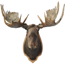 moosehead256x256