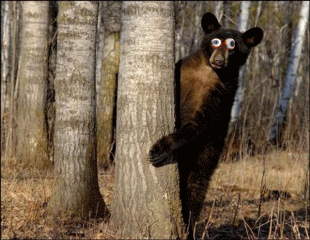 1111111111111111111111