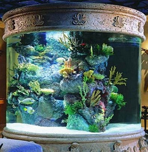 podbor-akvariuma