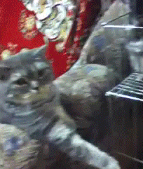 меховушки