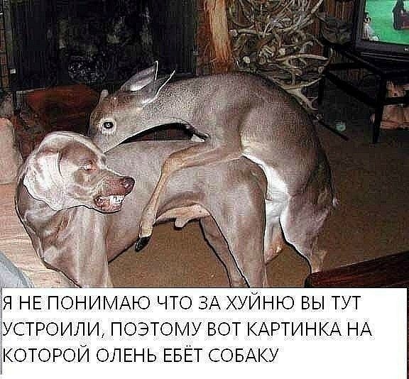 FWvZ6KK1OOE