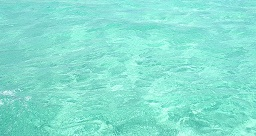 водичка
