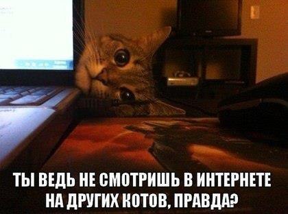 N_siVPk-_UY