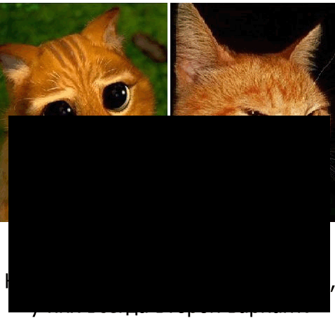 vybor1
