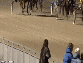 pareja-cachonda-en-una-carrera-de-caballos2