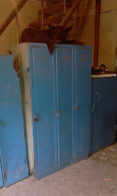 IMAG0727