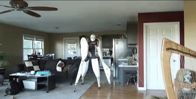 Gif-Halloween-Costume