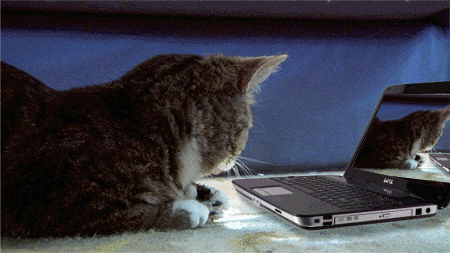 gifs_01