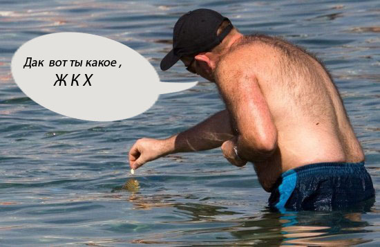 мва45