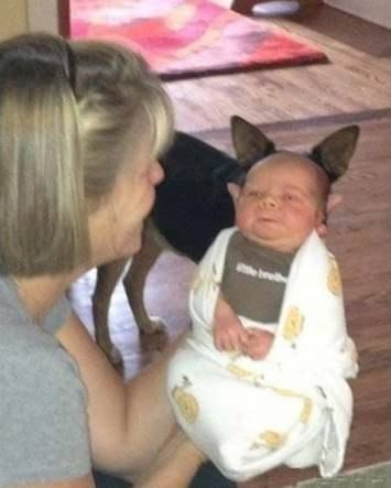 yoda