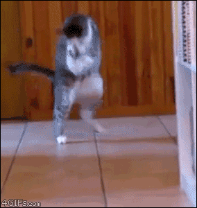gifs_18
