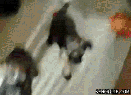 z2wBB.gif