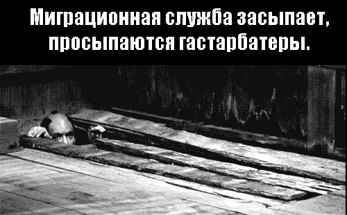 ФМС-гастарбатеры-самураи-прятки-457236