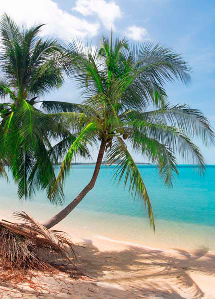 fotolia_13183323_m_01