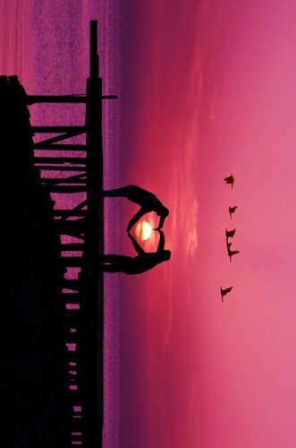 vecher-zakat-solnce-pticy.-okean-pristan-Favim.ru-13680