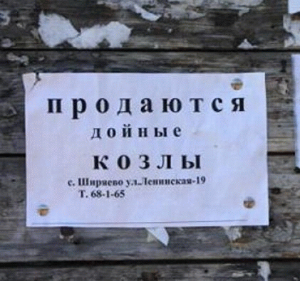 0_7adf5_8f1d11d8_XL