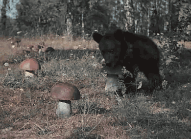 апв