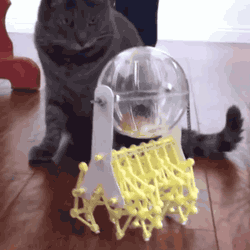 the_evolution_of_the_hamster_ball_next_step_jet_packs-13124