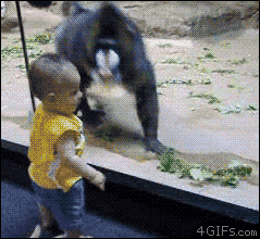 gifs_25