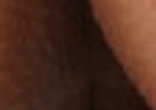 infinitezoom_3_yapfiles.ru