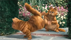 garfield