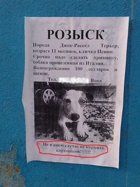 sobaken0