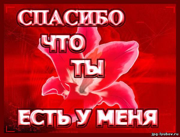спасибо что ты есть