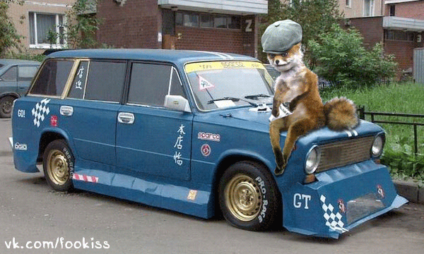 gikikolozpeonia491484