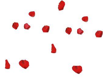 0_8066b_e7a82a50_XL2