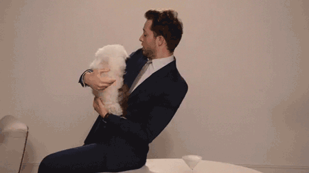 juicy-couture-cat-gif-4