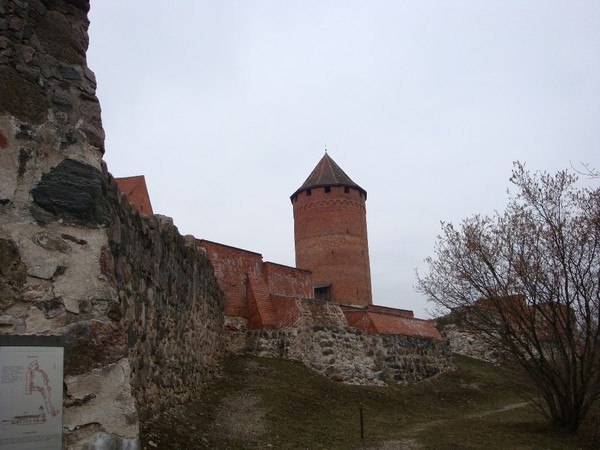 segevold24