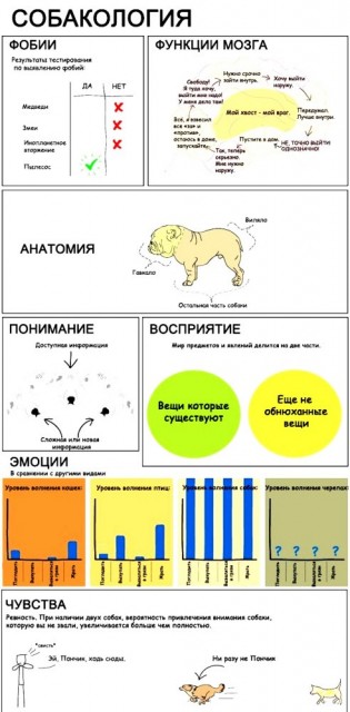 Собакена