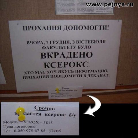 x_4bc3d638