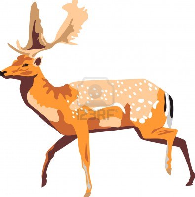 15645656-running-fallow-deer