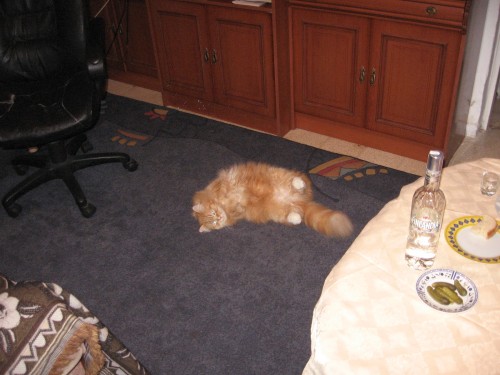 Picture 039
