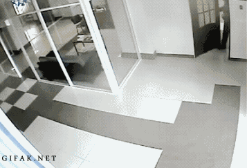 1356630078_1104326995