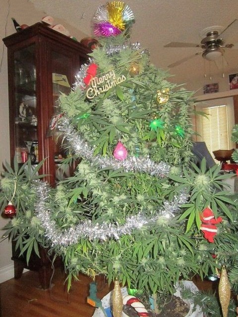 Jamaica